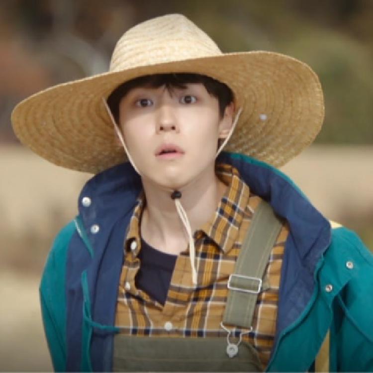 이혼보험 웅식, 현실에도 있을까? 요즘 사람들이 궁금해하는 진짜 이유