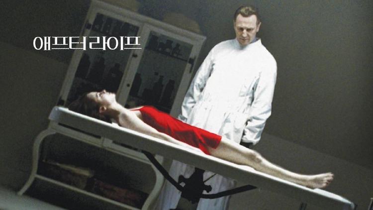 영화 애프터 라이프 정보