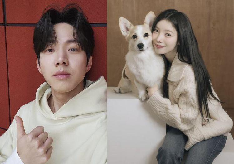 데이식스 도운 유지유