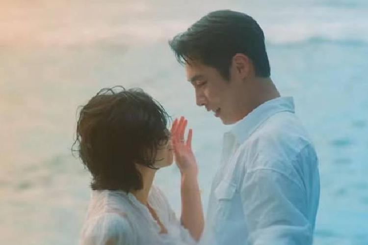 닥터섬보이 시청률 2회 만에 5%대 돌파한 진짜 이유