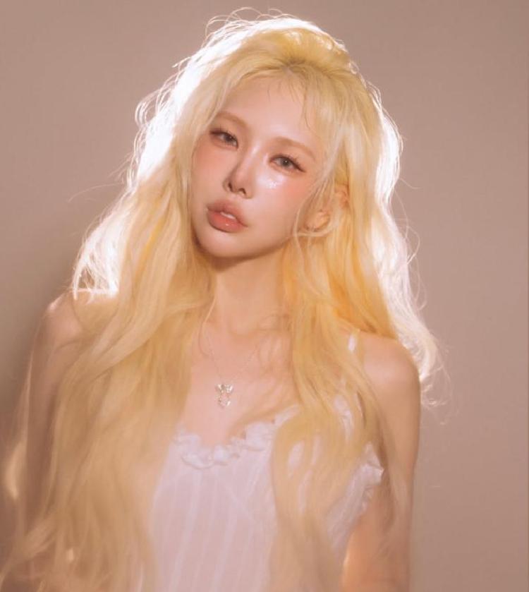 돌싱n모솔 서울쥐 직업