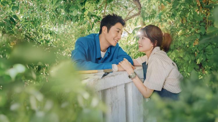 화려한 날들 몇부작, 최종회 20.5% 시청률 터진 가족 드라마의 모든 것