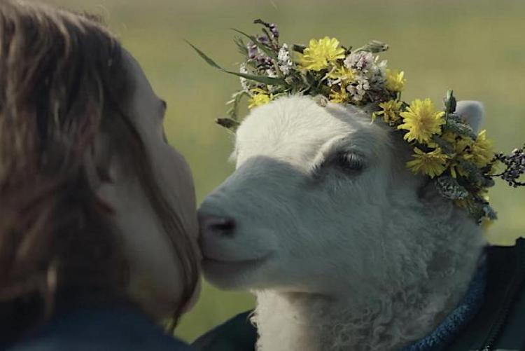 넷플릭스 아이슬란드 램 영화 줄거리